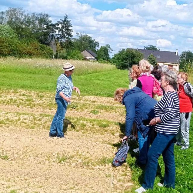 Seniors : Ateliers Bons Jours et visite de la safranière d’Alluy
