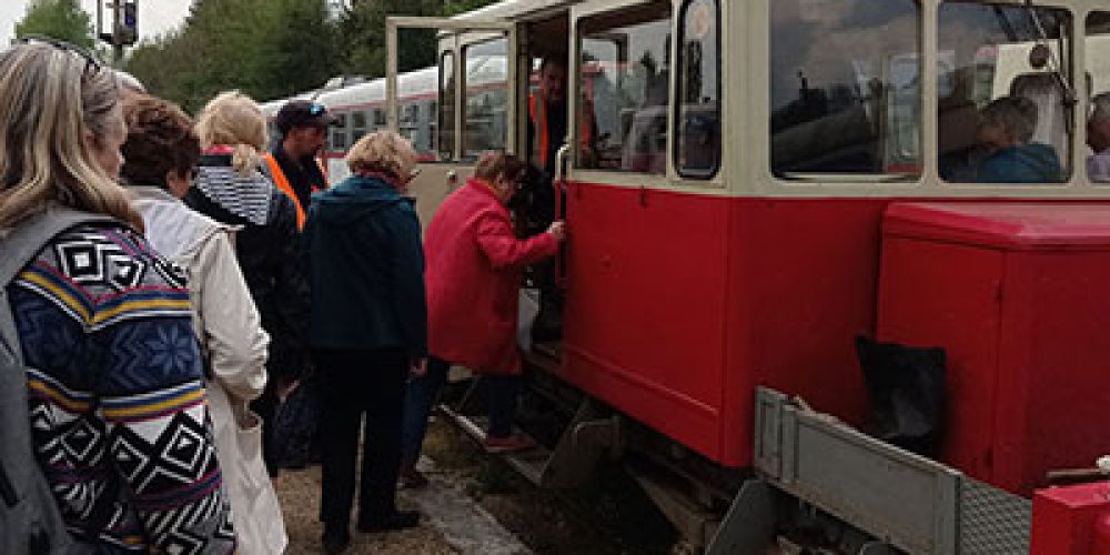 Sortie séniors à Toucy