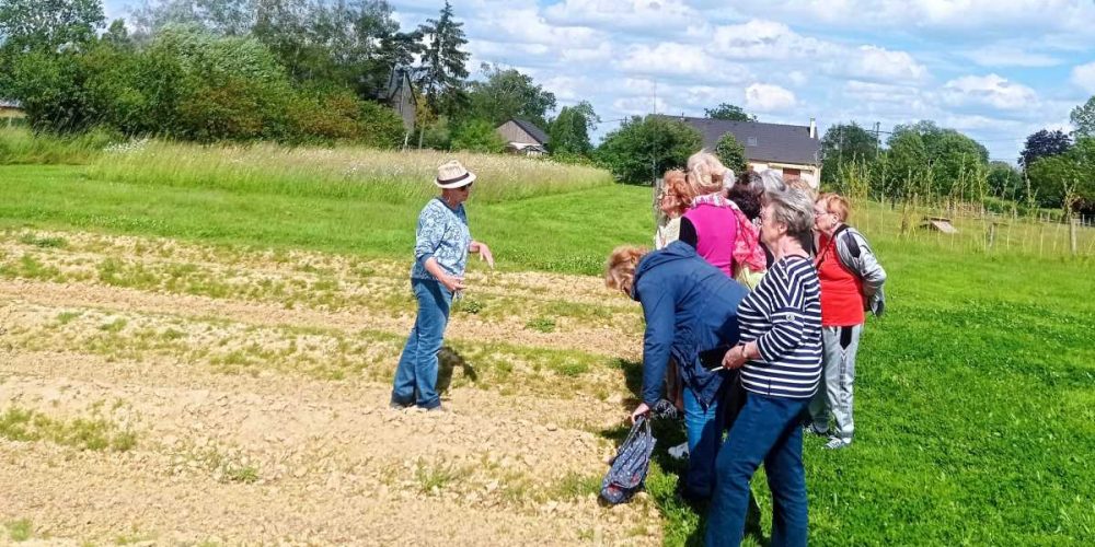 Seniors : Ateliers Bons Jours et visite de la safranière d&rsquo;Alluy