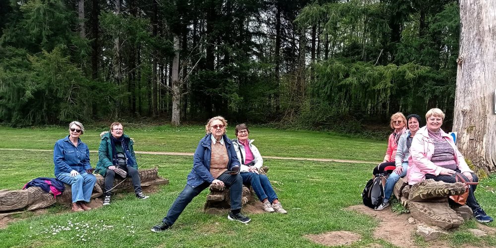 Activité seniors du mercredi 26 avril : Balade nature à l&rsquo;étang de Niffond